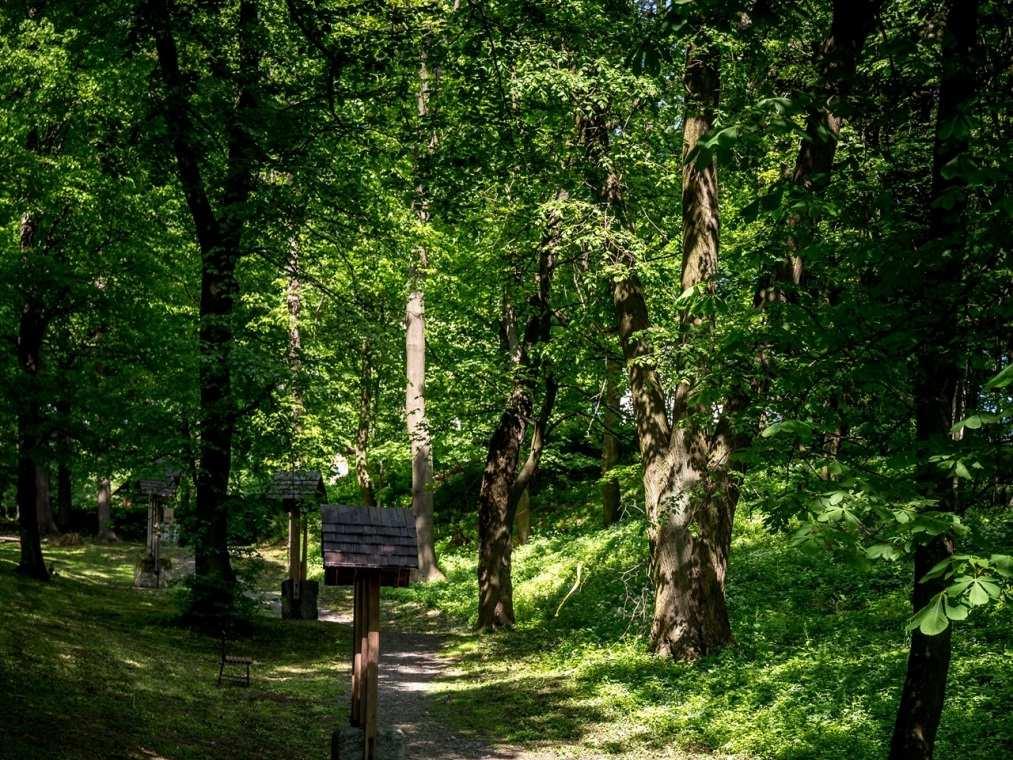 Podnikáme a investujeme do rozvoje regionů Jihočeské katolické lesy s.r.o. Diecézní lesy Litoměřice s.