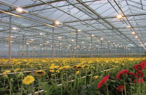 POUŽITÍ K osvětlení sladkovodních akvárií Úplné nebo doplňkové umělé osvětlení rostlin Doporučeno pro skleníky, zimní zahrady, výstavy květin apod.