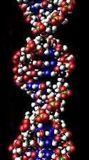9: Model části DNA molekuly.