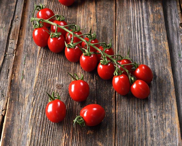Strabena Cherry sladké rajče na větvičce Strabena je další z odrůd, kterou nikdo jiný v Česku Průměrná hmotnost plodu: 14 18 g nepěstuje.