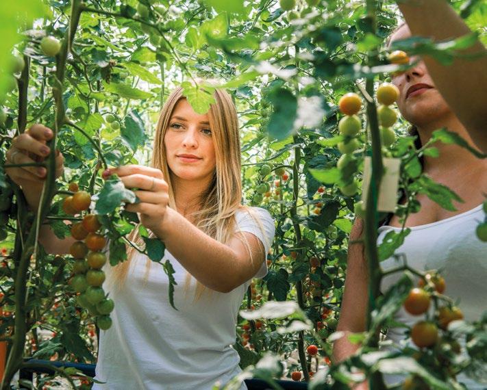 Kontakty Čerstvě utrženo třída Tomáše Bati 269 760 01 Zlín IČ 060 35 370 www.cerstveutrzeno.