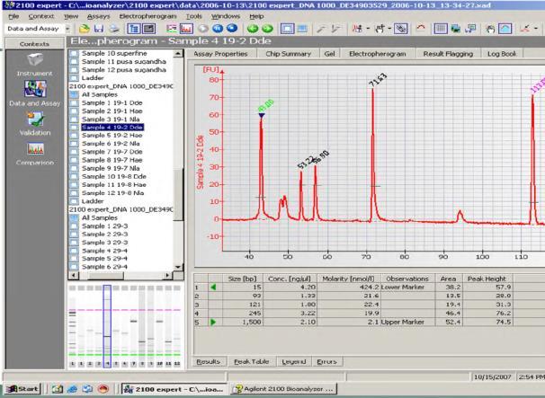 (isotopes), BOLD (DNA sequence