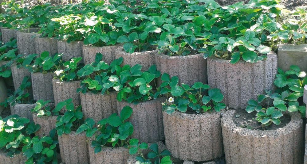 JEŠTĚDSKÝ KÁMEN. RUNDFLOR. MINIFLOR. Díky svahovým tvárnicím můžete dát vaší zahradě nejen praktickou, ale i dekorativní funkci.