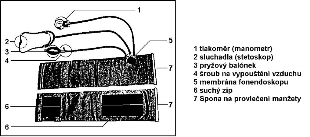 2. Použití Přiložení manžety (nafukovacího polštářku): provlečte několik centimetrů volného konce manžety skrz sponu 7 na konci druhém tak, že membrána 5 bude směřovat dovnitř takto do kruhu uzavřené