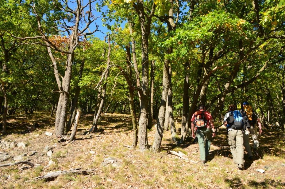 NP Podyjí Národní park Podyjí je území s mimořádně vysokou biodiverzitou.