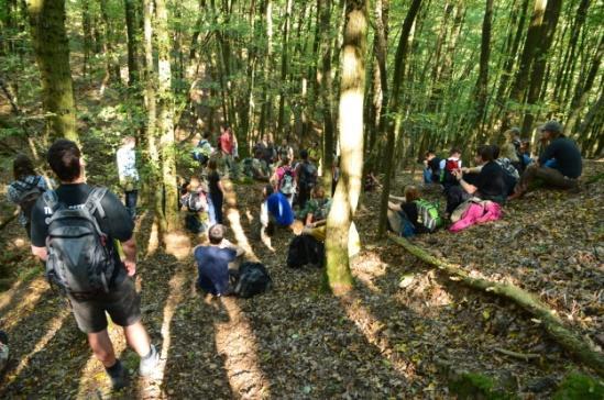 národních parcích obvyklé, ale i na aktivní ochranu fenoménů spjatých s historickými formami