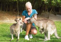 daně. Všichni studenti také mohou na konci finančního roku (po 30. 6.) nebo při odletu z Austrálie požádat o navrácení daní.