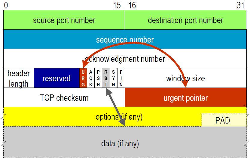 1.6. Příklady nosičů a možnosti skrývání Obrázek 1.8: Hlavička TCP segmentu zobrazující provázanost flagů.