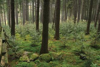 dosaženo konsenzu na jejich cílové rozloze (např. v koordinační radě Národního lesnického programu II nebyl v roce 2011 akceptován předjednávaný rozsah 4 % lesů v ČR).