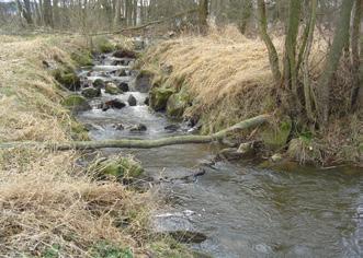 Bypass u jezu na řece Blanici v Bavorově u Vodňan 49 12'23" N, 14 09'08" E; nadmořská výška 420 m Významný krajinný prvek, říční biokoridor Říční ekosystém v aluviu 6 říčních kilometrů toku Blanice