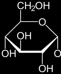 Složené lipidy - glykolipidy