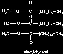 Chemická podstata lipidů Estery nebo amidy karboxylových kyselin (nerozvětvený řetězec, sudý počet C) esterická