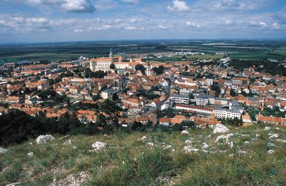 Z Mikulova budete pokračovat na Sedlec, odtud dále po cyklotrase č. 411 jihomoravskou pahorkatinou až k dalšímu významnému historickému městu sídlu rodu Lichtenštejnů Valticím.