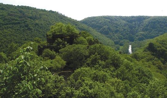 Mimořádně divoké, místy kaňonovité skalnaté údolí meandrující řeky Dyje se do okolního terénu zařezává až o 220 m.