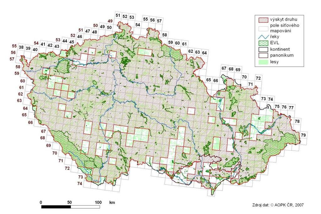 2 ÚVOD Obr. 5: Výskyt Rana temporaria na území České republiky, zdroj: biomonitoring.cz 2.5.3 BLATNICOVITÍ (PELOBATIDAE) Blatnice jsou charakteristické svou svislou zřítelnicí oka a nápadným metatarzálním hrbolem.