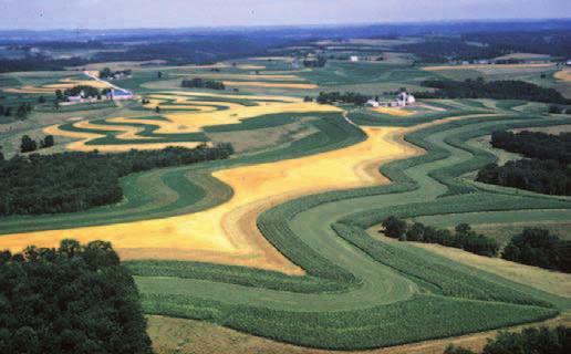 Faktory Vyšší riziko Menší riziko Srážky dlouhé/intenzivní krátké/nízké Propustnost půdy malá: - skeletovité půdy - krustovité půdy - utužená spodní vrstva Vlhkost půdy velká malá Rychlost odtoku