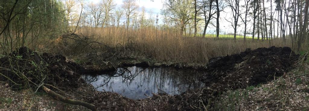 8 Fotodokumentace Kulaté jezero v