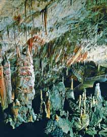 Přejezd do Škocjanských jeskyň nádherného jeskynního systému skrápníkovými paláci, kaňony, od roku 1986 zařazeného do seznamu přírodního dědictví UNESCO (fakultativně).