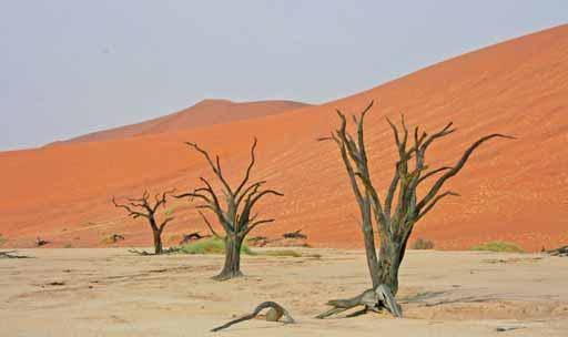 den: ::b/strong::oušť Kalahari zabírá velkou část východní Namibie.