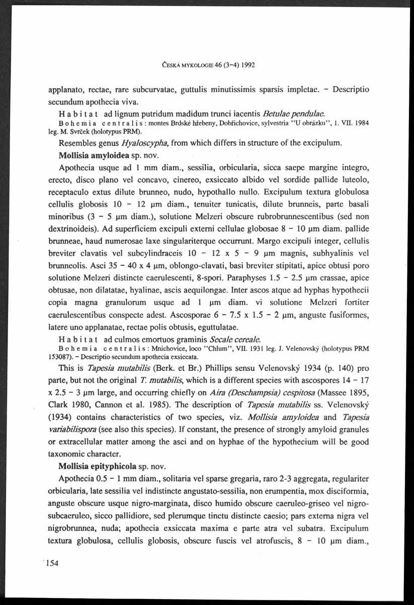 ČESKÁ MYKOLOGE 46 (3-4) 1992 applanato, rectae, rare subcurvatae, guttulis minutissimis sparsis impletae. - Descriptio secundum apothecia viva.