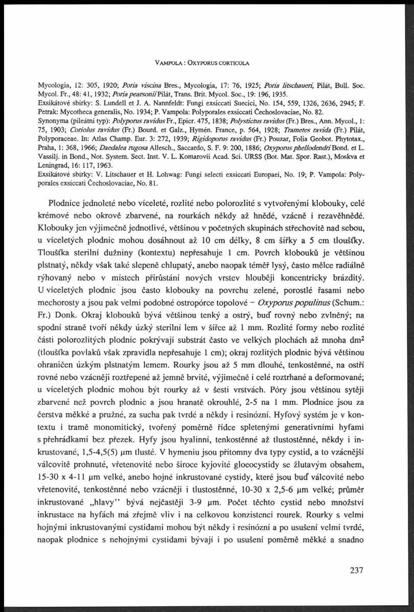 V a m p o l a : O x y p o r u s c o r t ic o l a Mycologia, 12: 305, 1920; Poria viscina Bres., Mycologia, 17: 76, 1925; Poria litschaueri, Pilát, Bull. Soc. Mycol. Fr.