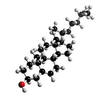 Terapeutická klasifikace Primární hypercholesterolémie porucha LDL receptoru, defekt apo B 100,