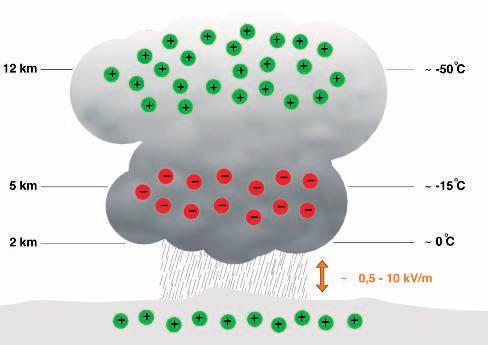 Kapitola 1 Všeobecný úvod Obr.1.6: Rozložení nábojů v oblaku 1.1.1.3 Rozložení nábojů Studie prokázaly, že padající kroupy (oblast teplejší než minus 15 C) nesou záporný náboj.
