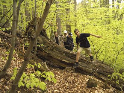foto: Leo Košťál foto: Milan Reška Lesy jsou pro Čechy hlavně oblíbeným cílem výletů a místem k rekreaci. Zároveň pomáhají zadržovat vodu a slouží jako zdroj dřeva.