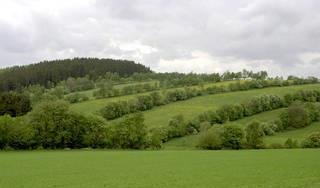 Řešení příčin eroze Opatření zamezující vodní erozi: travní pásy,