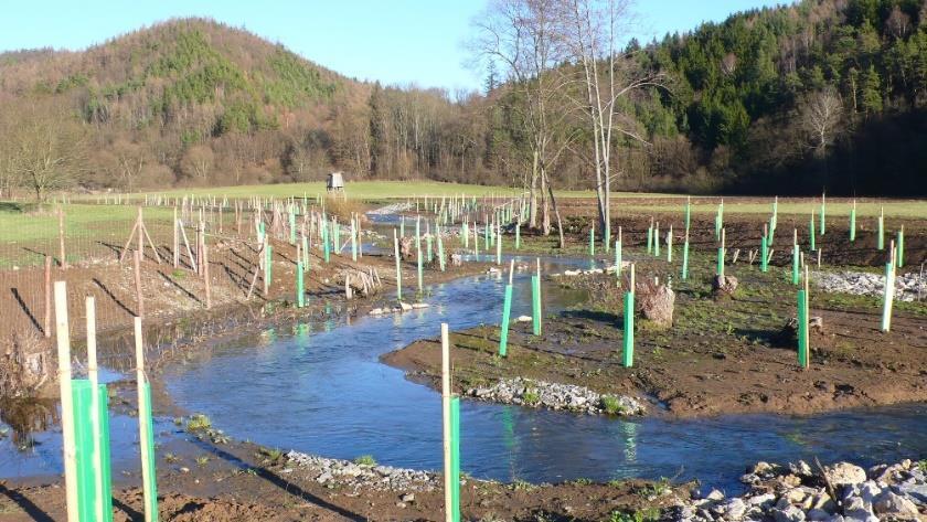 Revitalizace vodních toků a niv Podpora přirozených korytotvorných procesů renaturace koryt vodních toků Velký prostorový rozsah a tvarová členitost hydraulická