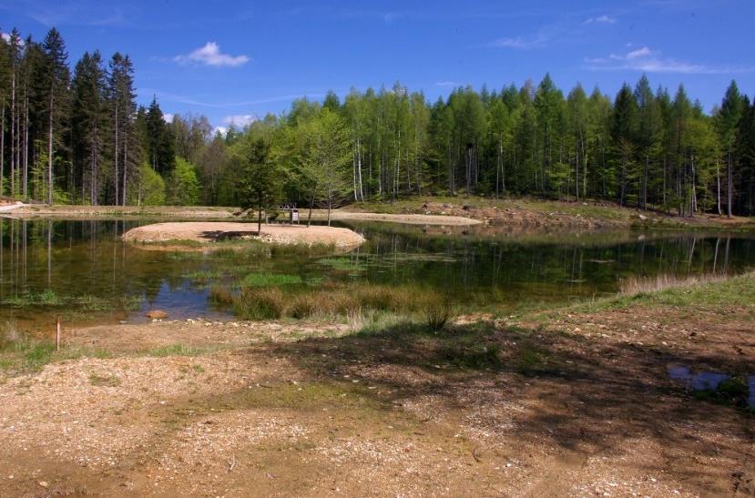 prostředí v průběhu roku