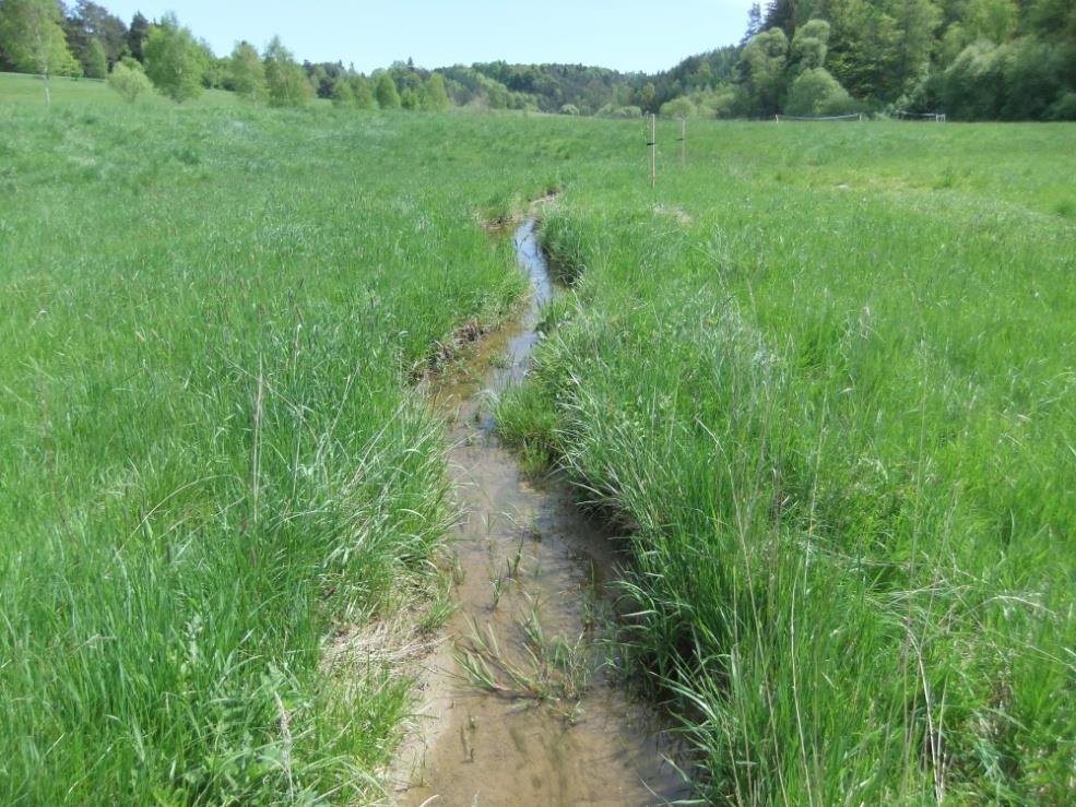 Cíl projektu: zadržení vody v