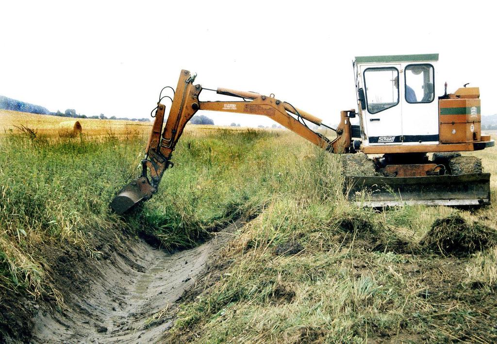 U nás je zatím obvyklejší ničení samovolných