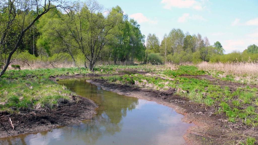 Metoda zlepšování morfologického stavu vodních toků: Investiční revitalizace mají oporu v právní úpravě figurují v plánech