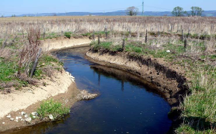 Revitalizace v ploše poldru Žichlínek, 2010: Neúspěch konceptu