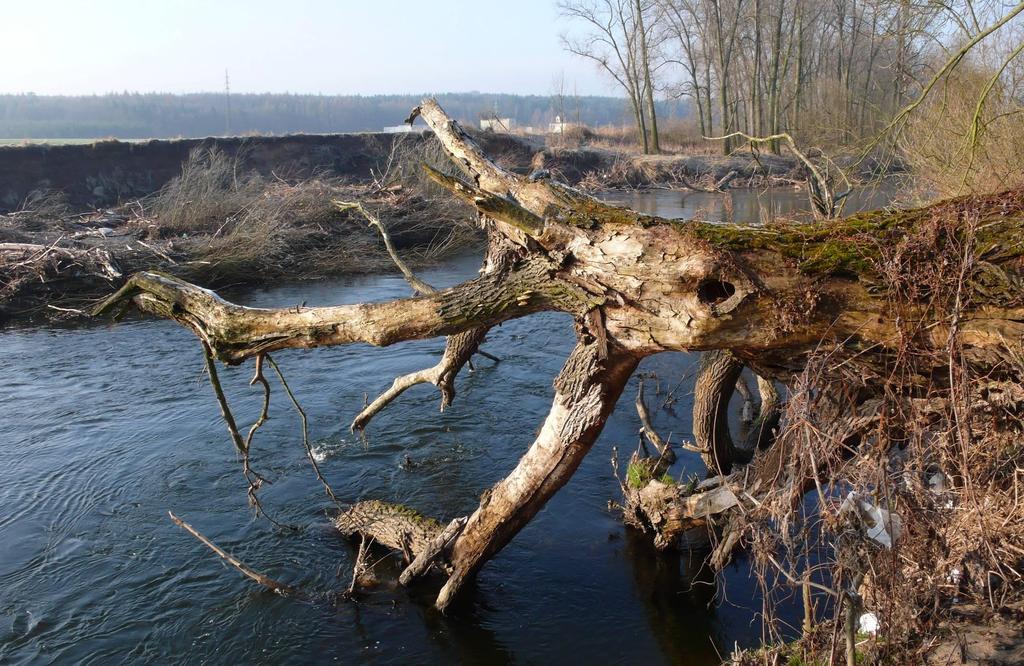 Děkuji za pozornost