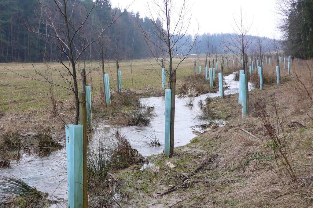 I kdyby investiční revitalizace fungovaly naplno, obsáhnou jenom malou část sítě vodních toků