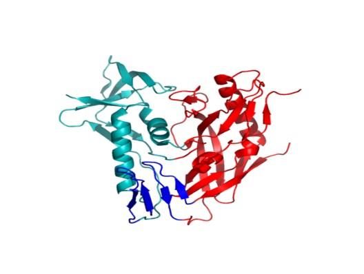 Protein GP 12 Glycoprotein GP12 is a glycoprotein exposed on the