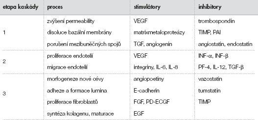 Tab. 1: Schéma angiogenní kaskády s podílejícími se faktory, upraveno dle [9].