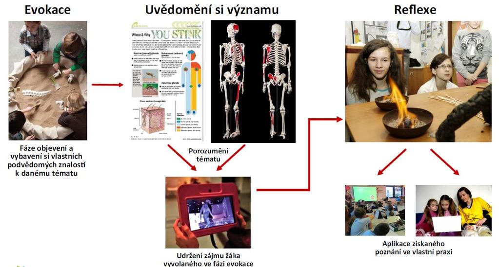 Výukové programy rozdělené dle věku návštěvníka (1. stupeň ZŠ / 2.