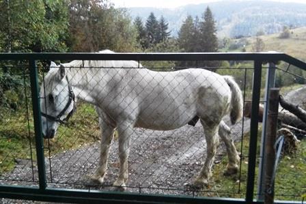 2014 vyrostla jabloňová Alej dobra (630 m n. m.) S nápadem ji tu vybudovat přišli majitelé chaty Hrádek manželé Rychtárkovi, kteří dali k dispozici svůj pozemek.