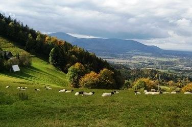 Stromky jsou obloženy, aby je neokusovala zvěř, jsou tu lavičky na posezení, aby si tu mohli okolo jsoucí turisté nejen odpočinout, ale hlavně se pokochat nádherným