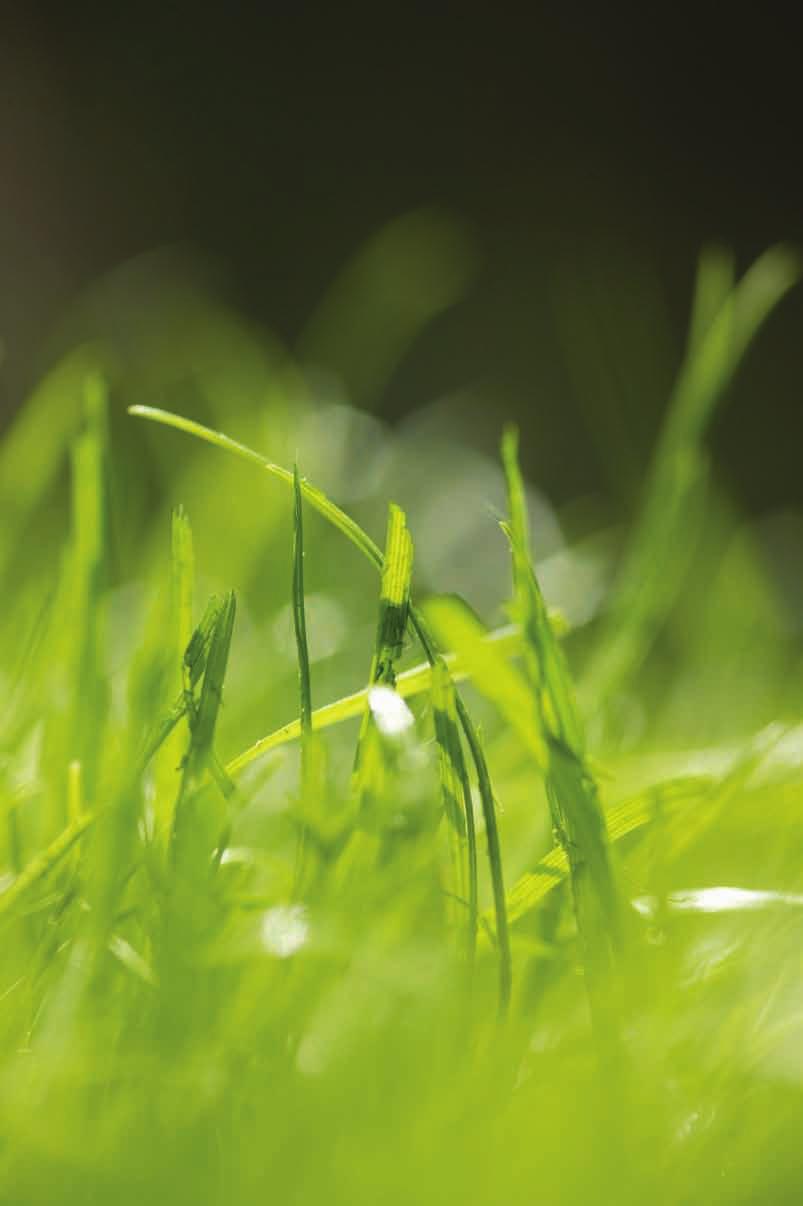 GARDENA péče o trávník Pro trávníky s kvalitami golfového trávníku Vhodné výrobky