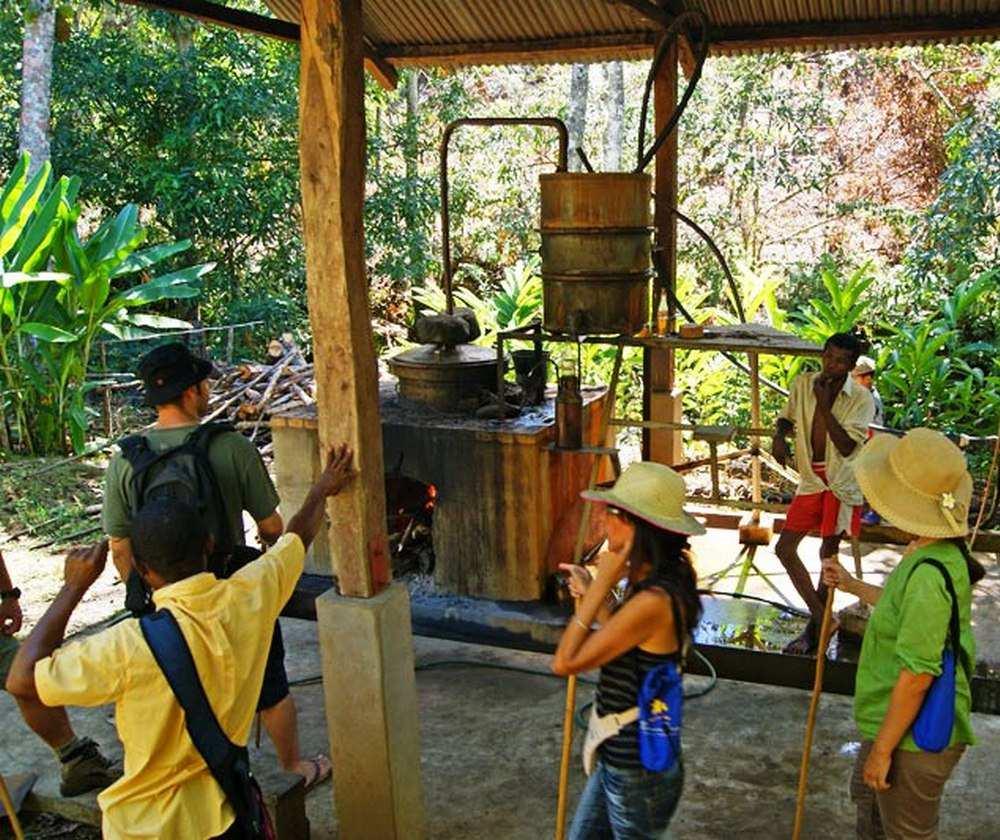 Nabídka fakultativních výletů v oblasti Nosy Be Domaine de Florette Výlet do rezervace, kde se setkáte s místní florou a faunou lesů, plantáží,