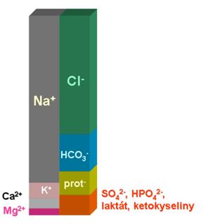váže dvojmocné kationty (hlavně Ca 2+ ) na ph prostředí také záleží, jaká část vápníku bude ionizovaná a jaká neionizovaná na plasmatických bílkovinách dochází ke směnění protonů za vápenaté ionty -