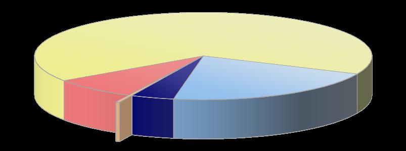 20 39 let 32,9% 15 19 let 0,9% 0 14 let 0,0% 65 let a více 9,8% 15 19 let 8,1% 0