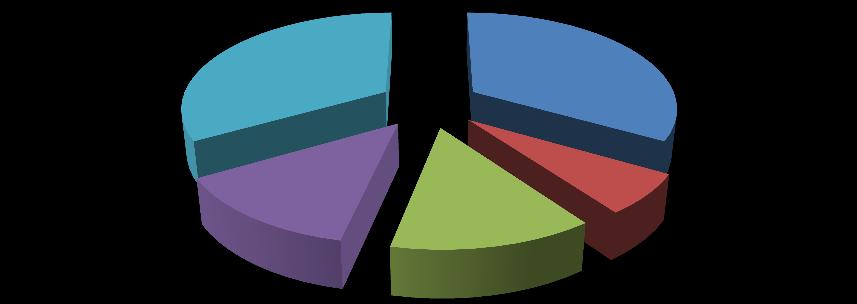 klid 33% pohodička 34% odpočívat 13% 13% Graf 8: Výraz damn 9. ročník relax 7% 1. 4.