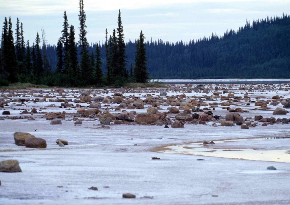 seznam světového dědictví UNESCO. V parku najdeme např. Jezero Gros Beak. Jezero Gros Beak, které se nachází v Národním parku Wood Buffalo 6.