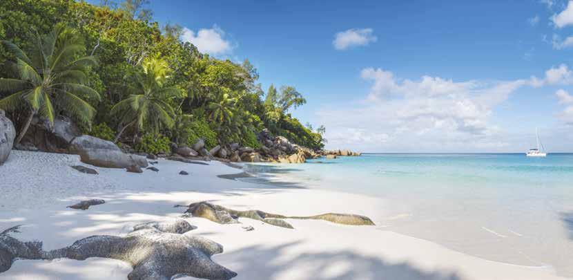 SEYCHELY SEYCHELY Seychelské ostrovy jsou rájem na zemi, a to v pravém slova smyslu. Čekají na vás liduprázdné bílé pláže s žulovými balvany a palmami, dokreslující smyslnost této země.