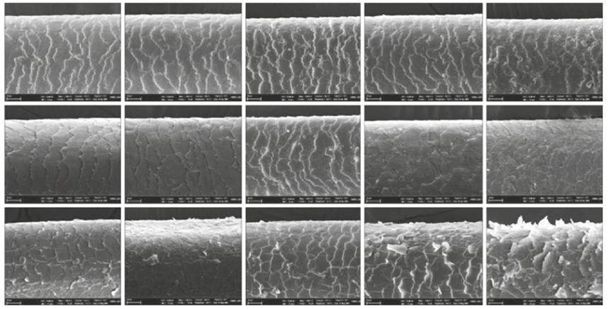 ROZDÍL POŠKOZENÍ VLASU A INTEGRÁLNÍHO LIPIDU VLASU PO UV ZÁŘENÍ TEST POD NANOTECHNOLOGICKÝM ELEKTRONICKÝM MIKROSKOPEM NA POČÁTKU UVA 12 hod UVA 48 hod UVB 12 hod UVB 48 hod AFRIČAN TYP VLASU BĚLOCH